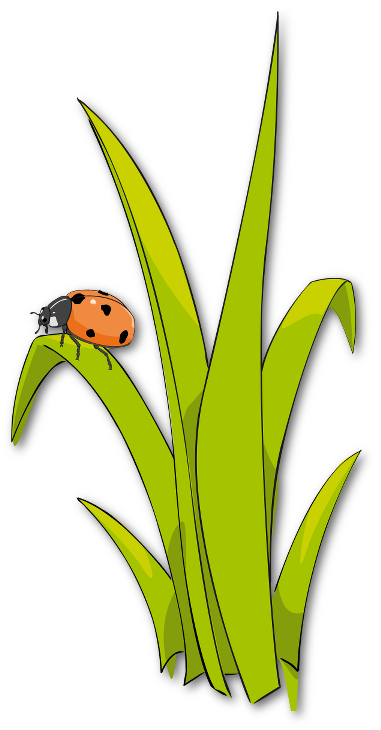 Trilement essay 02 image