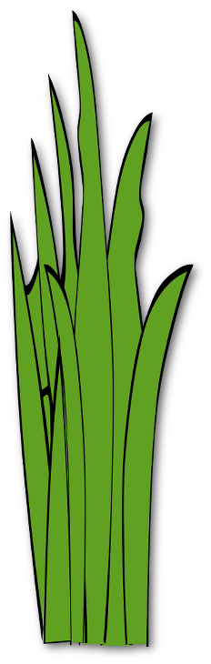 Trilement essay picture